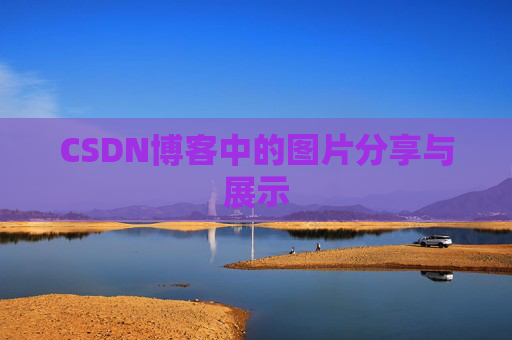 CSDN博客中的图片分享与展示